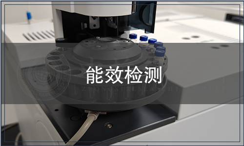 能效检测