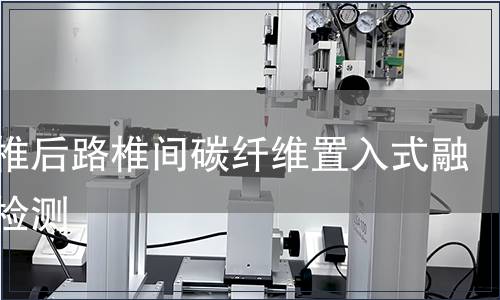 胸腰椎后路椎间碳纤维置入式融合器检测