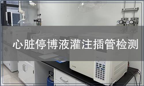心脏停博液灌注插管检测