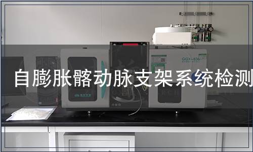 自膨胀髂动脉支架系统检测