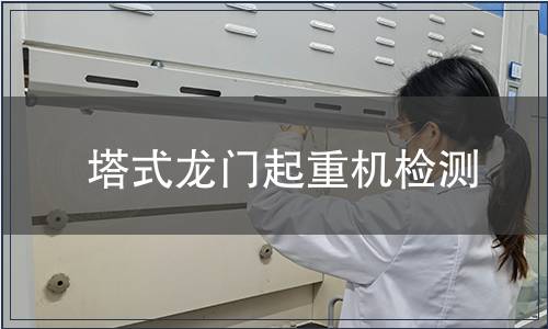 塔式龙门起重机检测