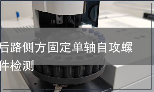 胸腰椎后路侧方固定单轴自攻螺钉含附件检测