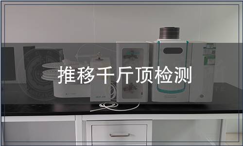 推移千斤顶检测