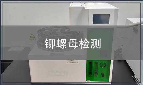 铆螺母检测