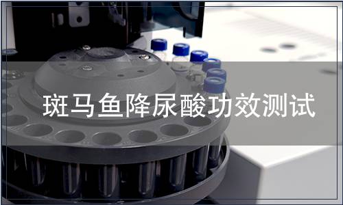 斑马鱼降尿酸功效测试
