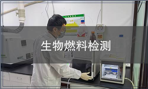 生物燃料检测
