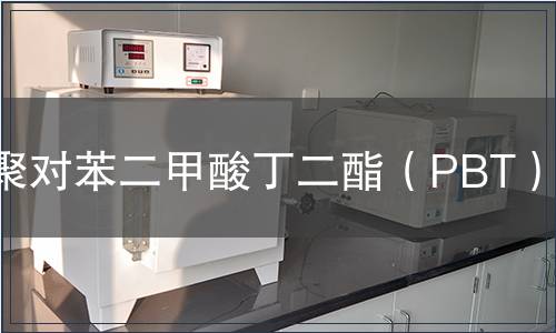 聚对苯二甲酸丁二酯（PBT）检测