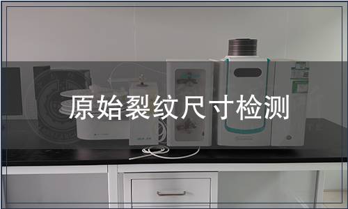 原始裂纹尺寸检测