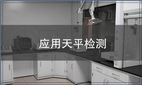 应用天平检测