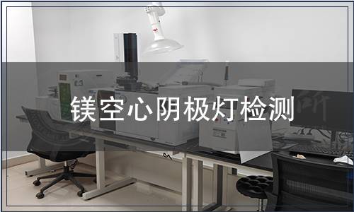 镁空心阴极灯检测