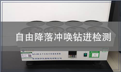 自由降落冲唤钻进检测