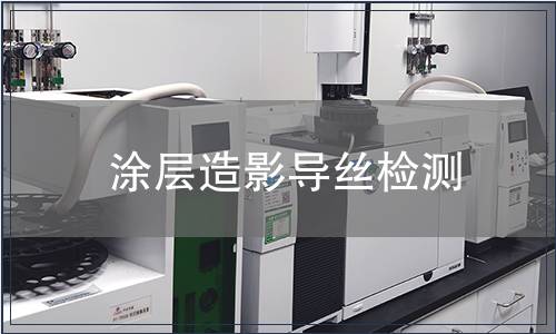 涂层造影导丝检测