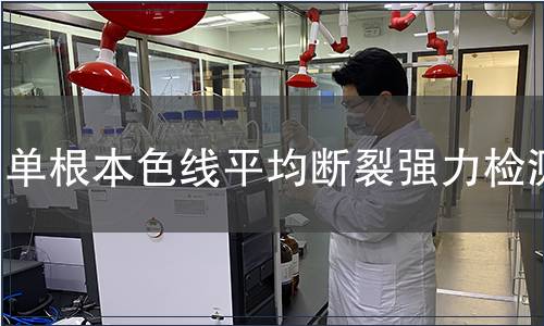 单根本色线平均断裂强力检测