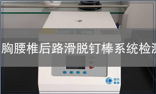 胸腰椎后路滑脱钉棒系统检测