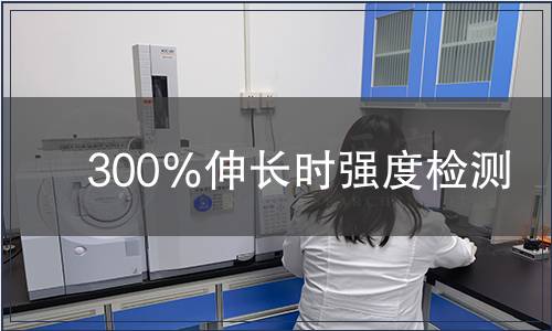 300％伸长时强度检测