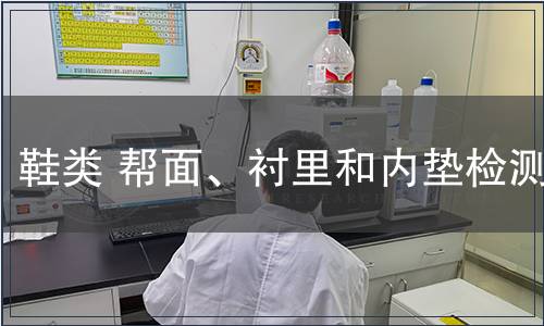 鞋类 帮面、衬里和内垫检测