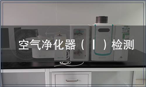 空气净化器（Ⅰ）检测