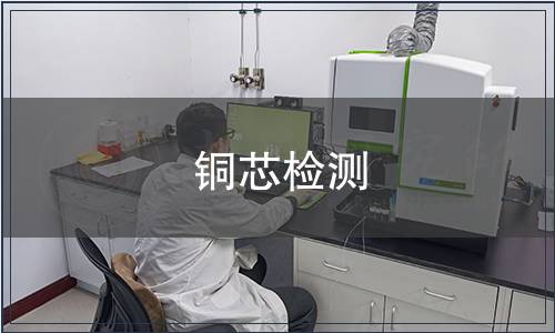 铜芯检测