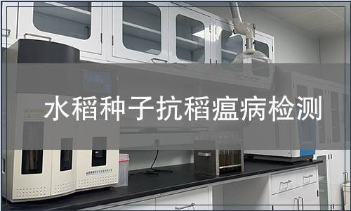 水稻种子抗稻瘟病检测