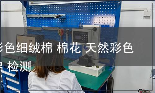 天然彩色细绒棉 棉花 天然彩色细绒棉 检测