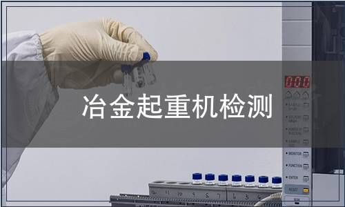冶金起重机检测
