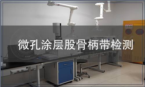 微孔涂层股骨柄带检测