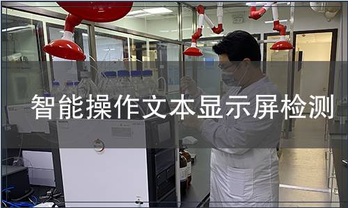智能操作文本显示屏检测