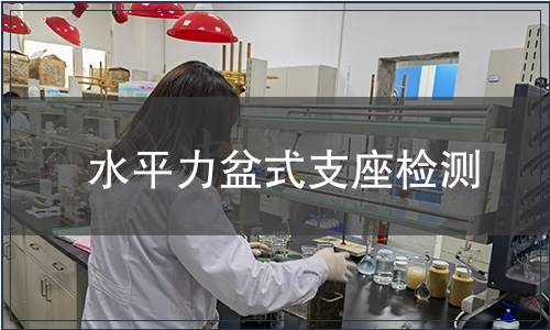 水平力盆式支座检测
