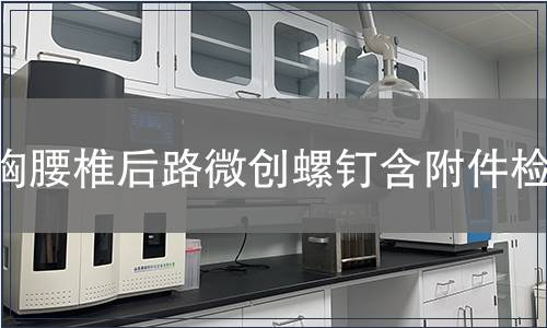 胸腰椎后路微创螺钉含附件检测