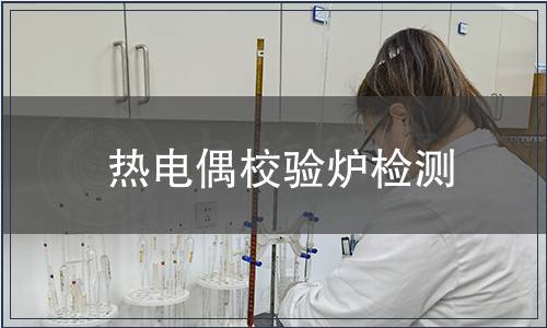 热电偶校验炉检测