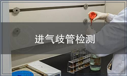 进气歧管检测