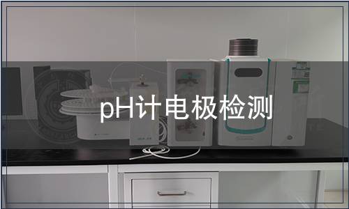 pH计电极检测