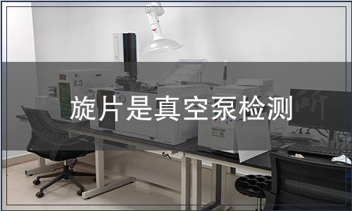 旋片是真空泵检测