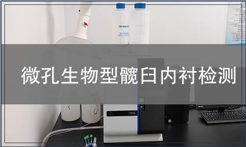 微孔生物型髋臼内衬检测