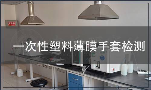 一次性塑料薄膜手套检测