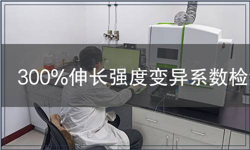 300%伸长强度变异系数检测