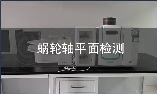 蜗轮轴平面检测