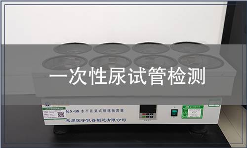 一次性尿试管检测