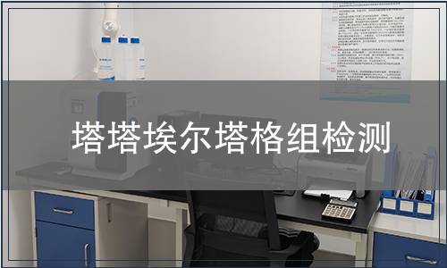 塔塔埃尔塔格组检测