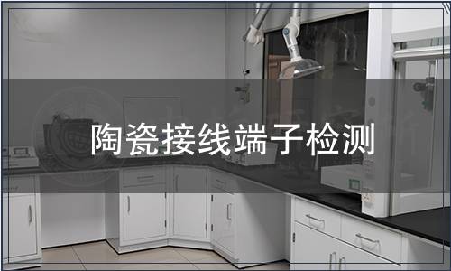 陶瓷接线端子检测