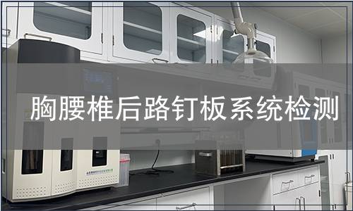 胸腰椎后路钉板系统检测