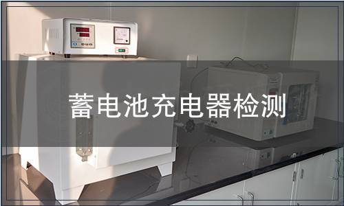 蓄电池充电器检测
