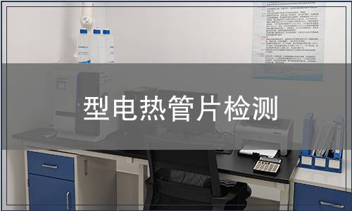 型电热管片检测