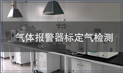 气体报警器标定气检测
