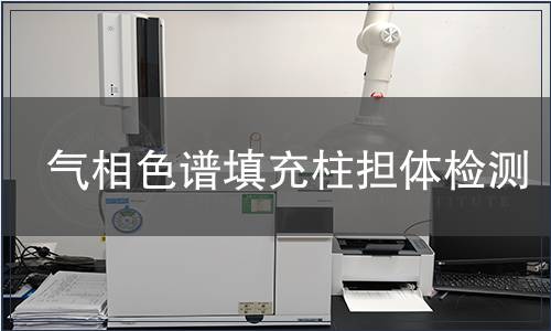 气相色谱填充柱担体检测