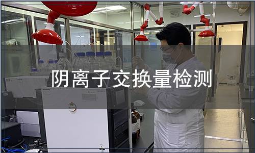 阴离子交换量检测