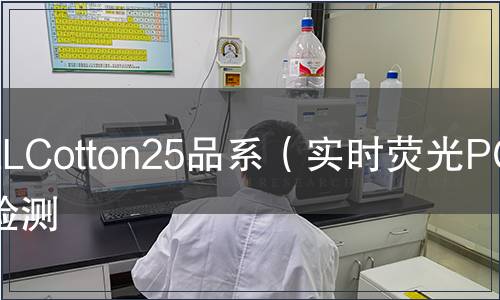 LLCotton25品系（实时荧光PCR）检测