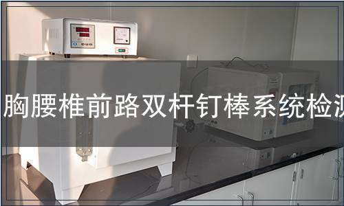 胸腰椎前路双杆钉棒系统检测