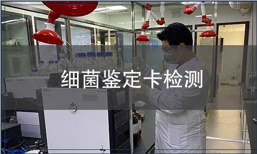 细菌鉴定卡检测