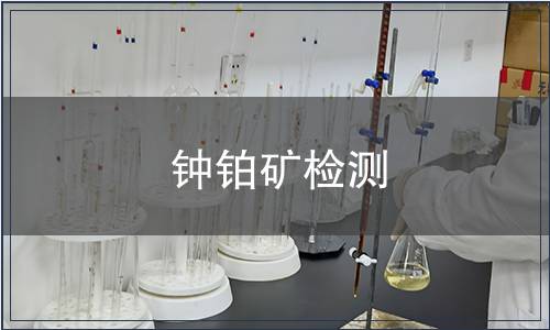 钟铂矿检测